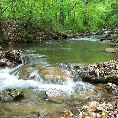Cabin Creekwood Lyndhurst Bagian luar foto
