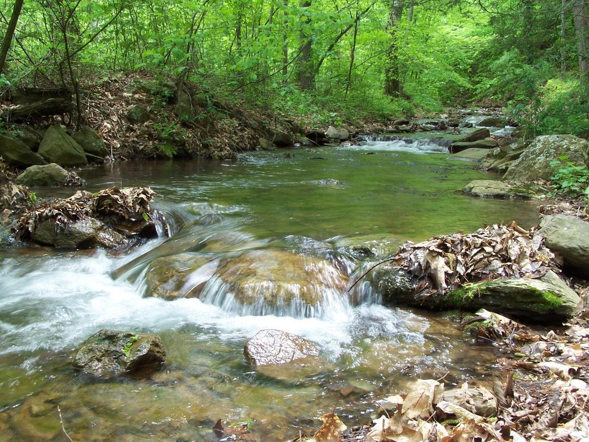 Cabin Creekwood Lyndhurst Bagian luar foto