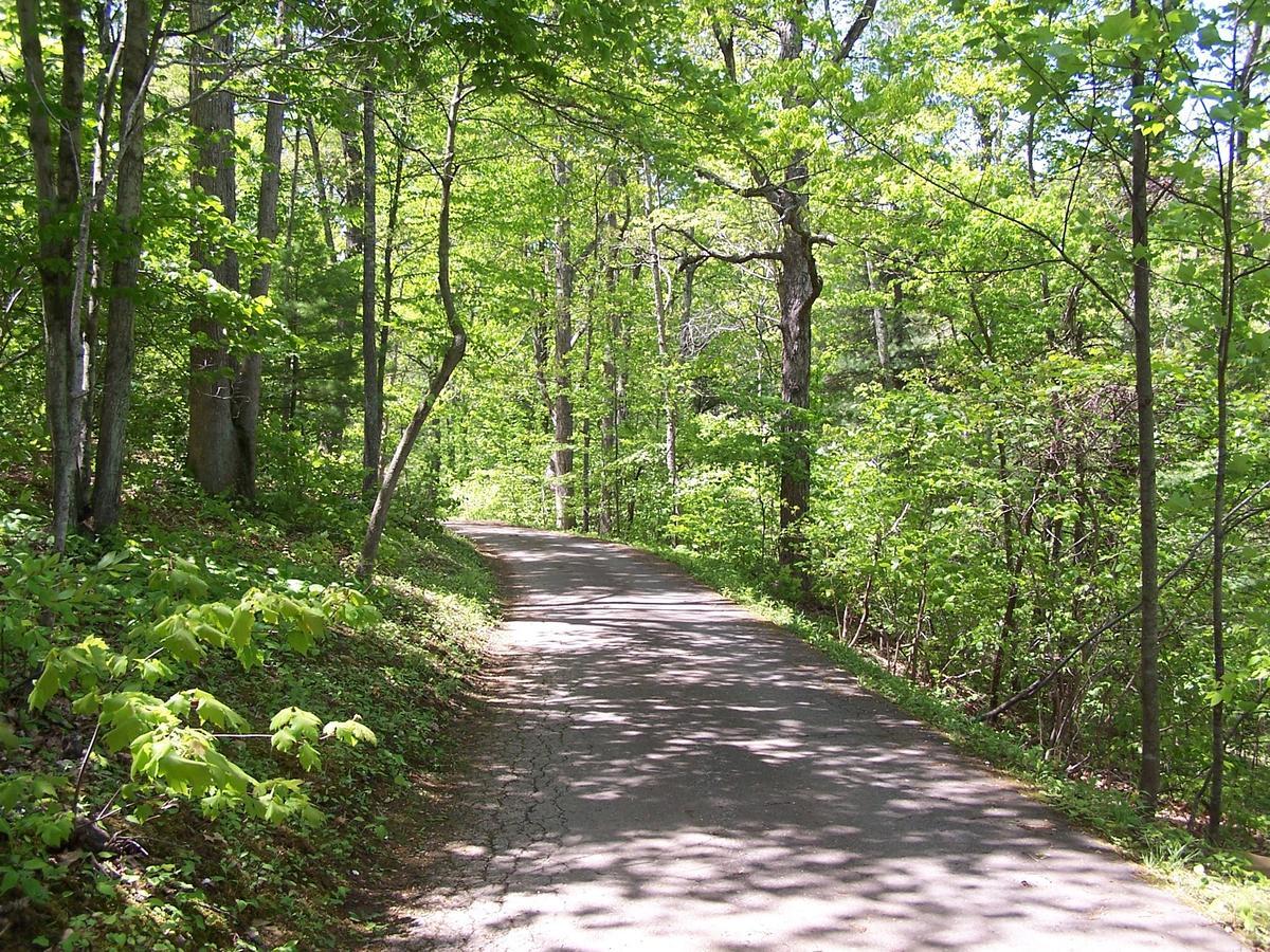 Cabin Creekwood Lyndhurst Bagian luar foto