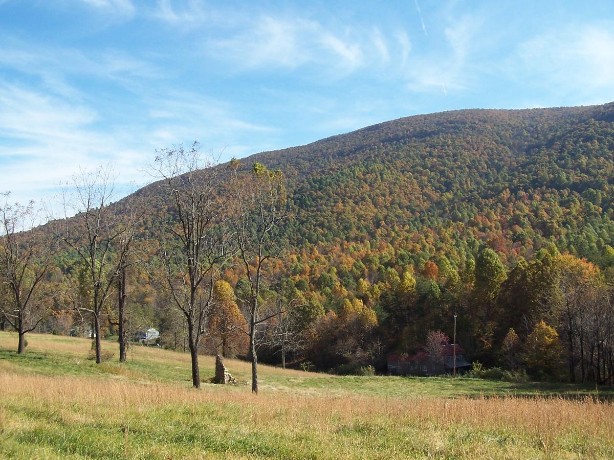 Cabin Creekwood Lyndhurst Bagian luar foto